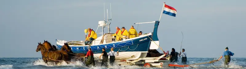 Events on Ameland
